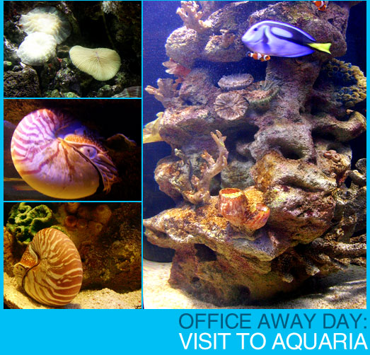 Office Awayday: Visit to Aquaria