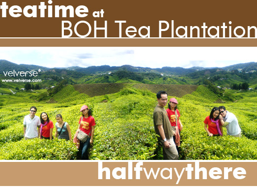 Visit to BOH Tea Centre