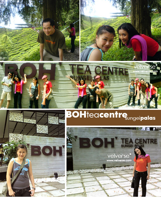 Visit to BOH Tea Centre