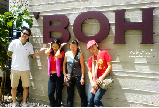 Visit to BOH Tea Centre